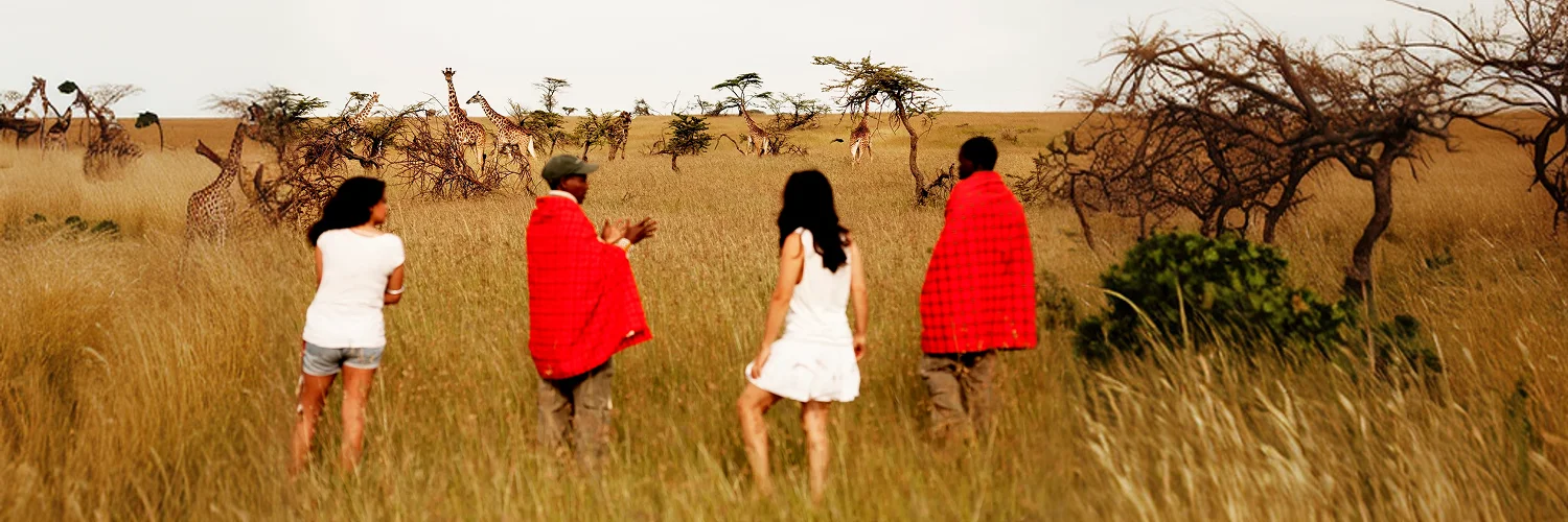 Karen Blixen Camp_The Walks.webp